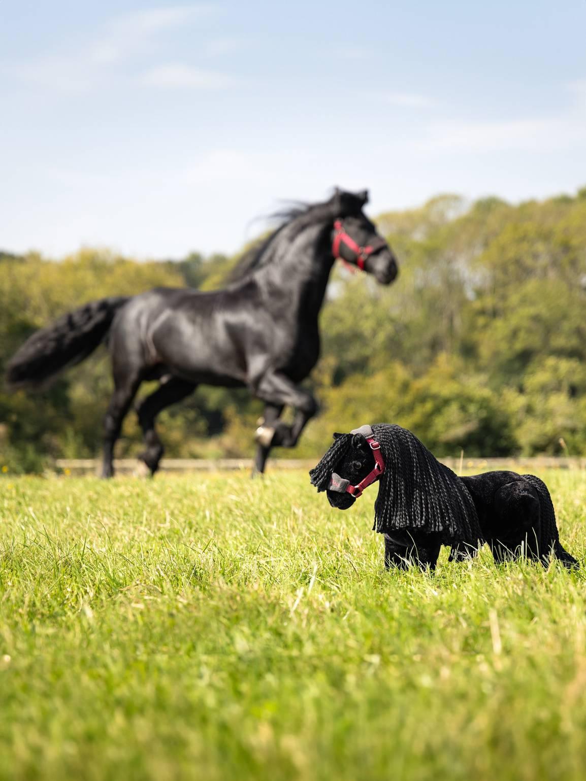 LeMieux toy pony Spike – HorseworldEU