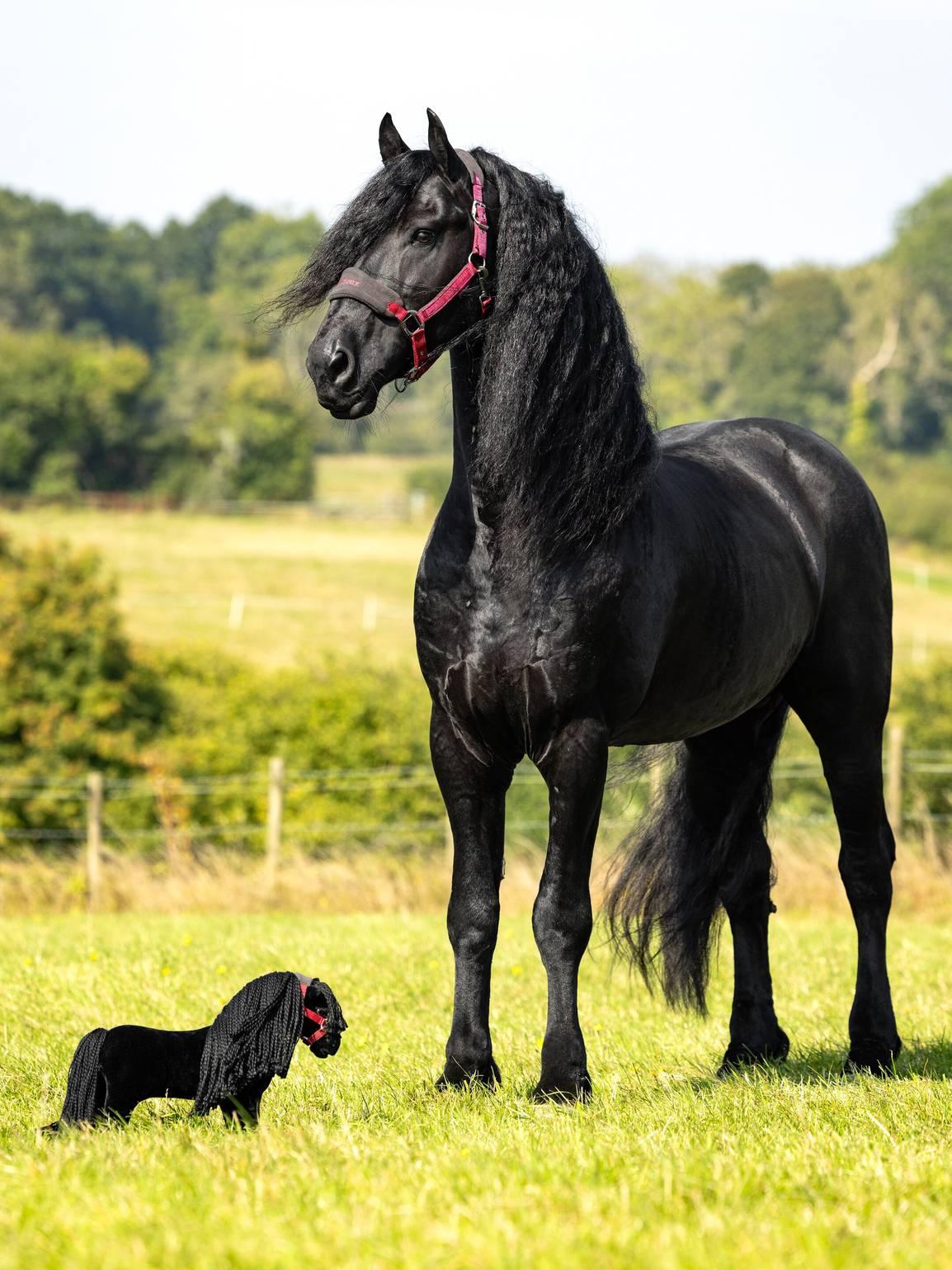 LeMieux toy pony Spike – HorseworldEU