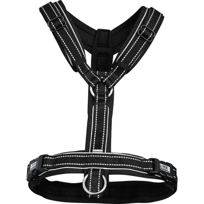 Herm. Sprenger foal harness