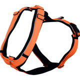 Herm. Sprenger foal harness