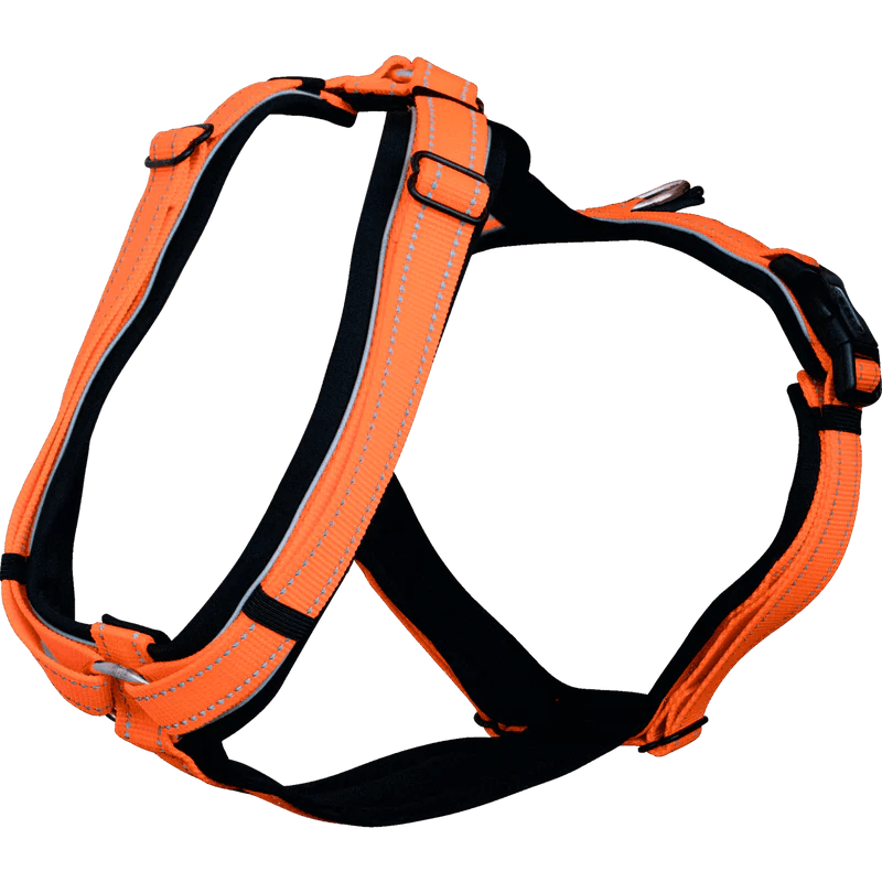 Herm. Sprenger foal harness