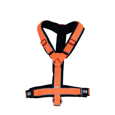 Herm. Sprenger foal harness