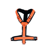 Herm. Sprenger foal harness