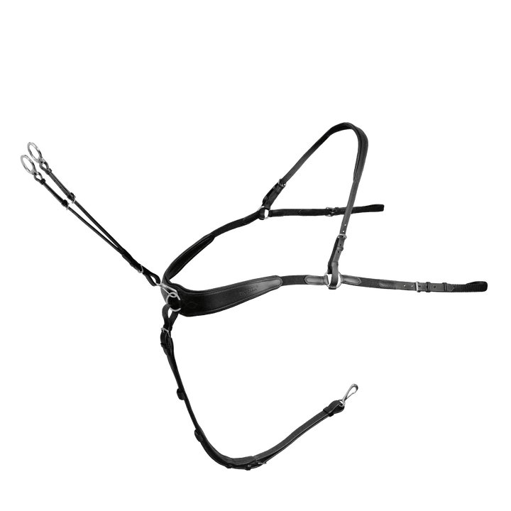 Passier Boundless Breastplate powered by Julia Krajewski