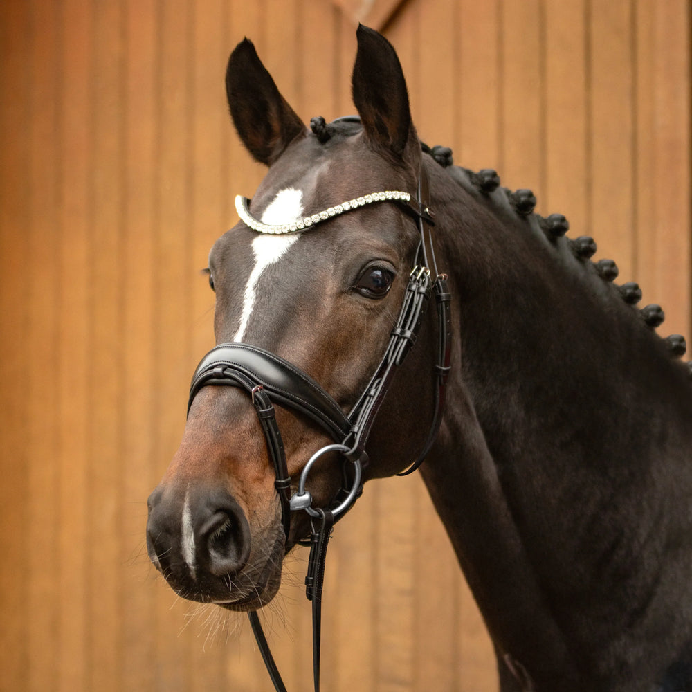 Passier favorite snaffle bridle powered by Ingrid Klimke