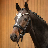 Passier favorite snaffle bridle powered by Ingrid Klimke