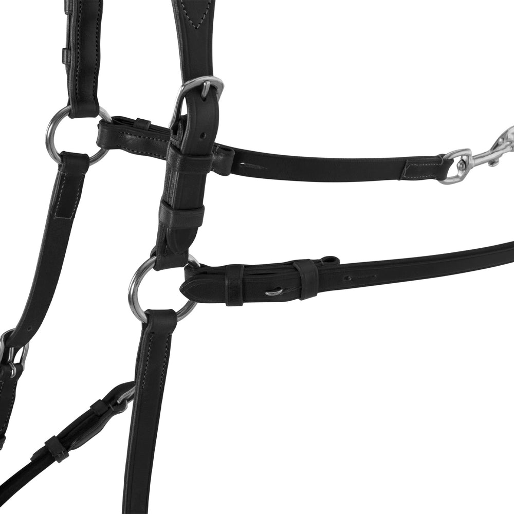 Acavallo five point breastplate calfskin