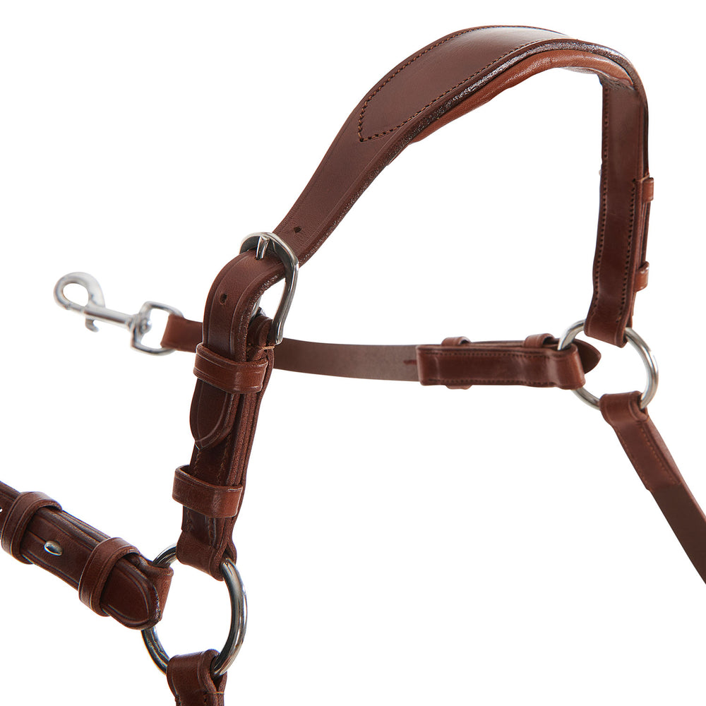 Acavallo five point breastplate calfskin