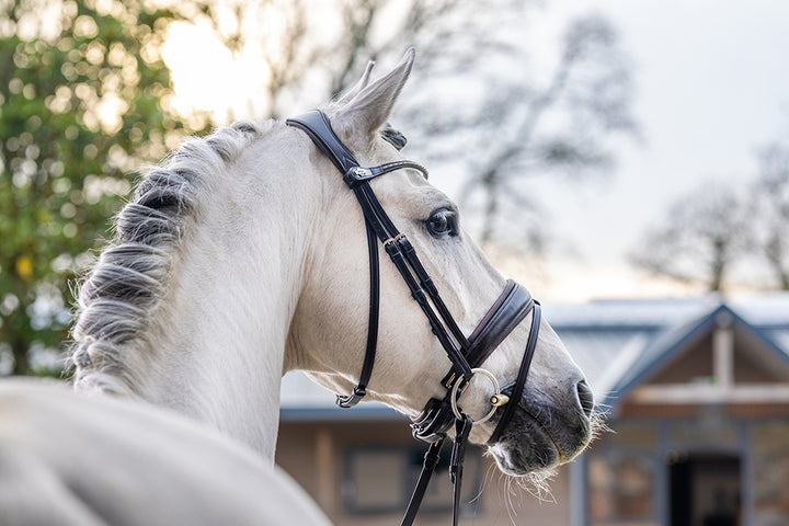 Commandez en ligne Casque d'équitation GPA Easy First Lady TLS