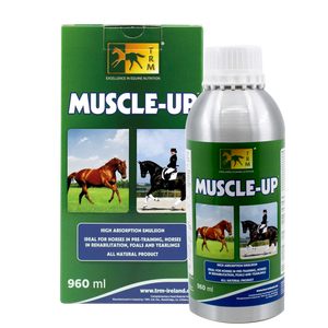 TRM muscle up