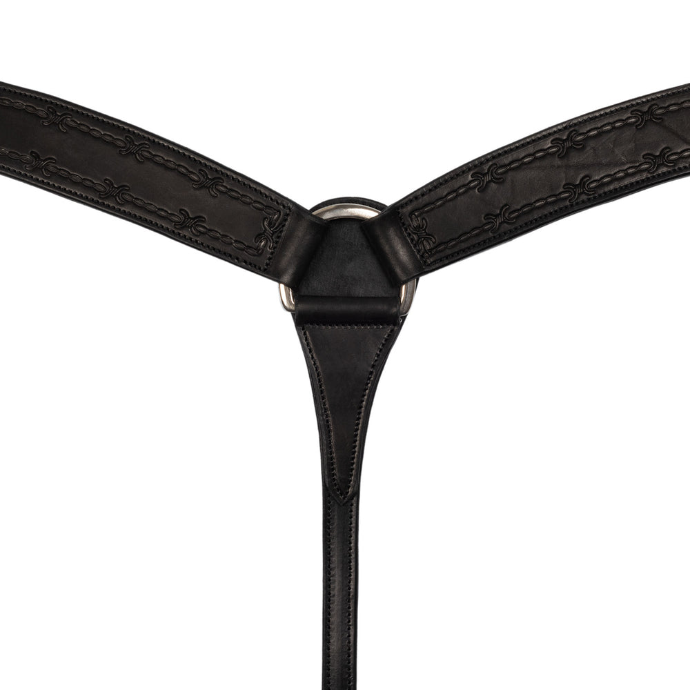 Collier de poitrine en fil de fer barbelé pour piscine PE00158