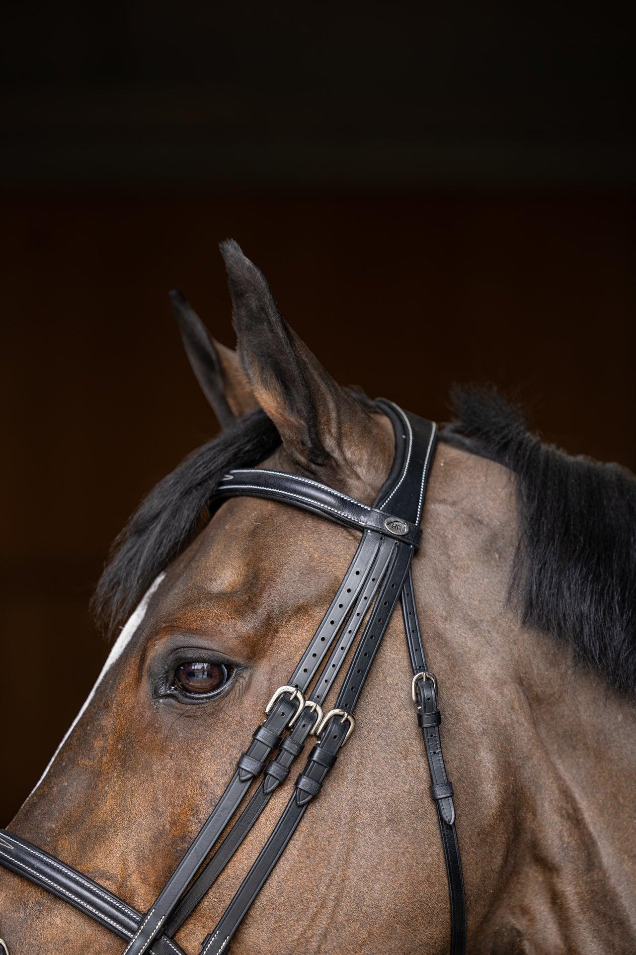 HFI double jump bridle – HorseworldEU