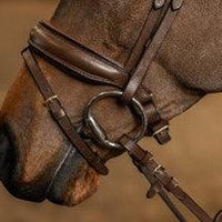 HFI edges bridle - HorseworldEU