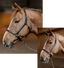 HFI Halter little groom - HorseworldEU