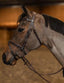 HFI painted bridle - HorseworldEU