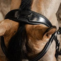 HFI pro bridle Verona - HorseworldEU