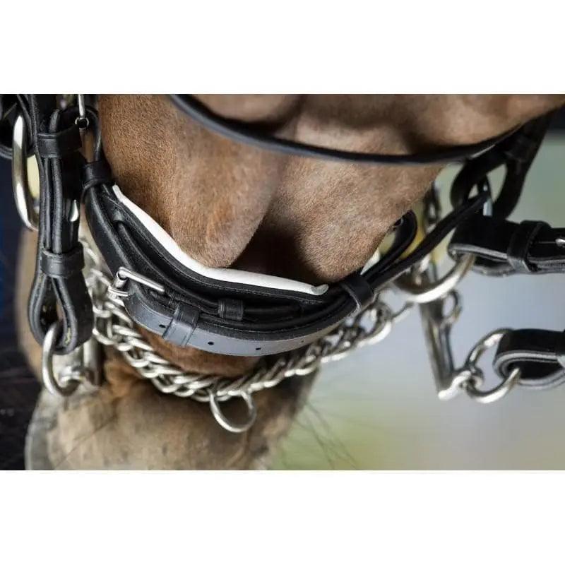 HFI weymouth bridle HFI
