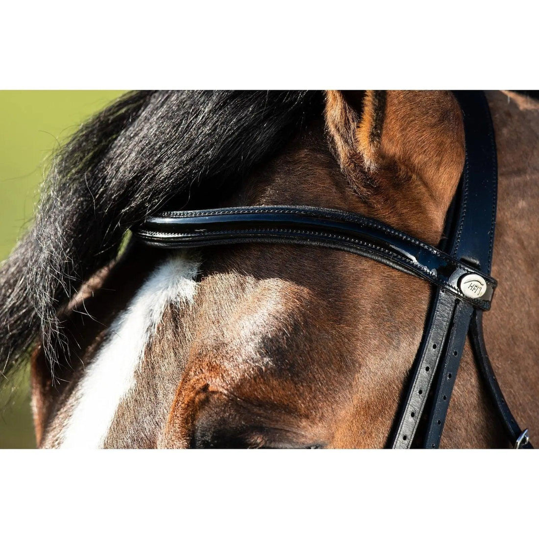 HFI weymouth bridle HFI