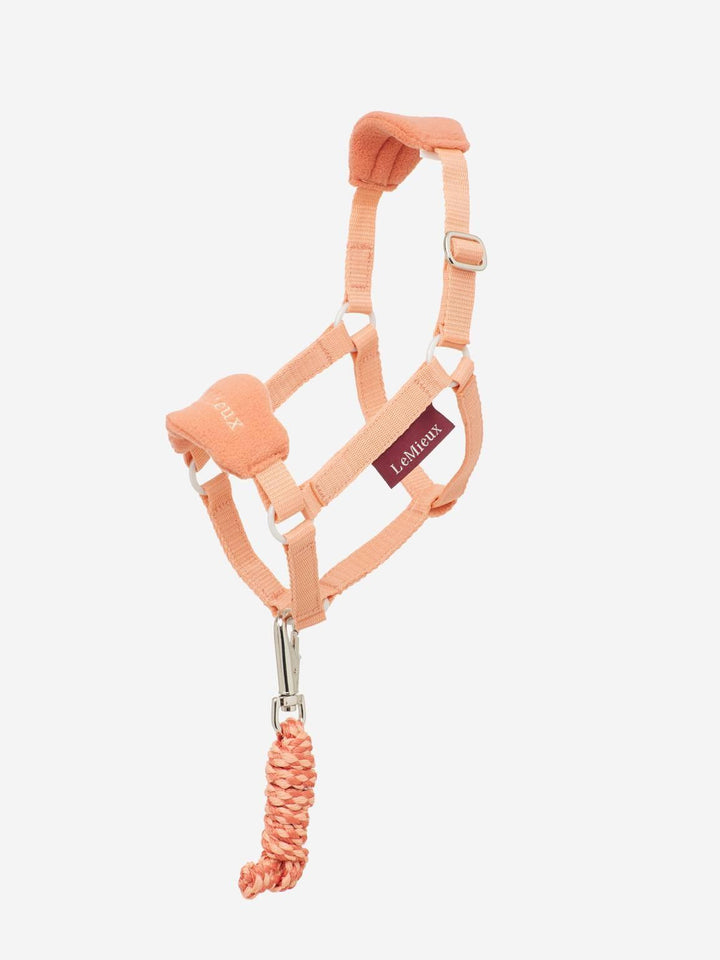 LeMieux hobby horse headcollar - HorseworldEU