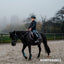 Komperdell ballistic vest Champion - K6460-229 - HorseworldEU