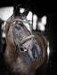 LeMieux Arika dressage bridle - HorseworldEU