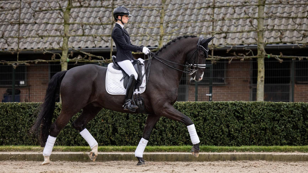 LeMieux Tapis de selle de dressage en daim cristal - Blanc LeMieux Tapis de selle de dressage en daim cristal - Blanc