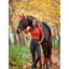 LeMieux luxury suede dressage saddle pad Lemieux