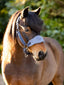 LeMieux mini vogue headcollar and leadrope - HorseworldEU