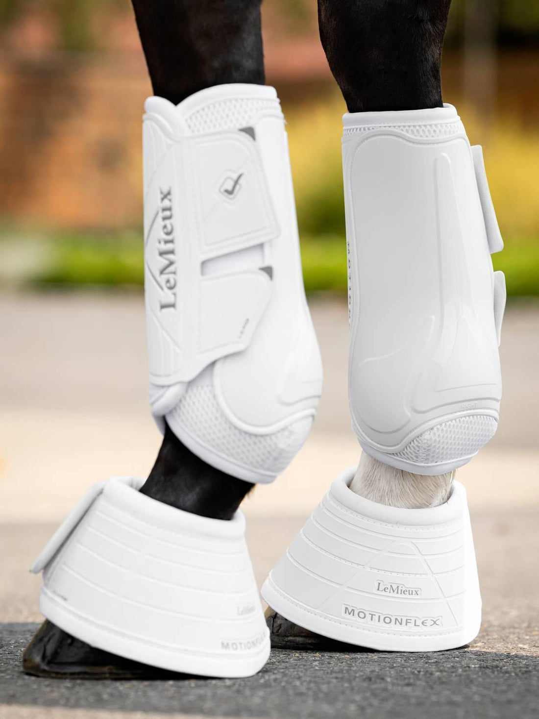 LeMieux motionflex over reach boots - HorseworldEU