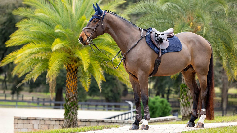 LeMieux ProSorb Plain 2 Pocket Close Contact Square - HorseworldEU