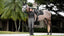 LeMieux ProSorb Plain 2 Pocket Close Contact Square - HorseworldEU