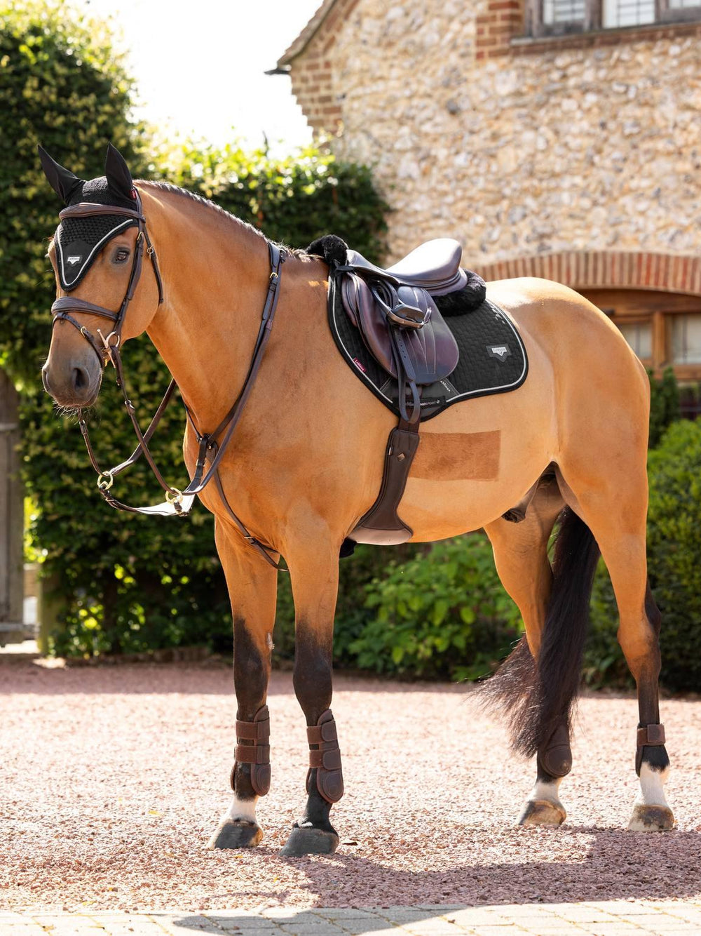 LeMieux Tapis de Selle Puissance Suede Close Contact Marin LeMieux Tapis de Selle Puissance Suede Close Contact Marin