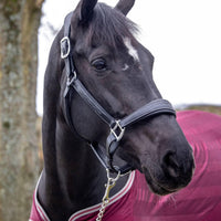 LeMieux stitched leather headcollar - HorseworldEU