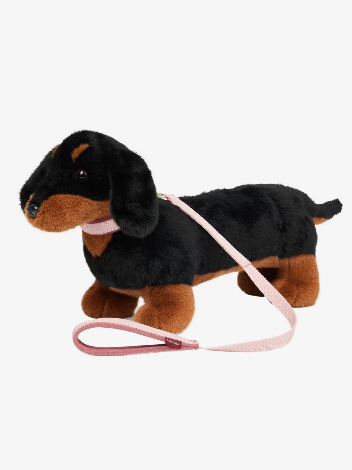 Puppy on a lead hot sale toy
