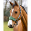 LeMieux Vogue headcollar and Leadrope Lemieux