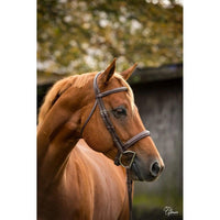 Montar hunter bridle Montar