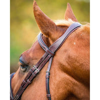 Montar hunter bridle Montar