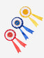LeMieux hobby Rosette Pack multi