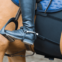 One equestrian body bandage - HorseworldEU