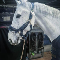 One Equestrian stallion ring - HorseworldEU