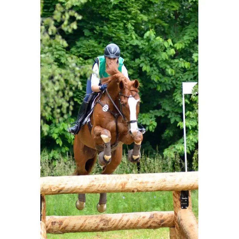 Stübben snaffle bridle 2300 Leitrim Stübben