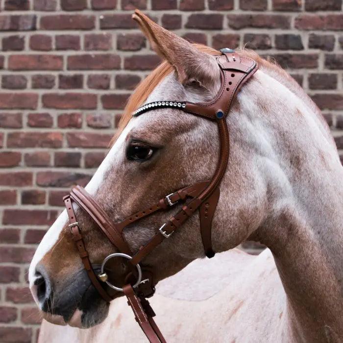 Stübben snaffle bridle freedom magic tack 2510 Stübben