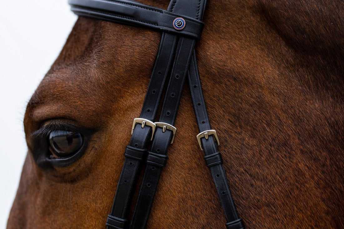 Trust Amsterdam Combined noseband bridle anatomic - HorseworldEU