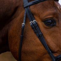 Trust Amsterdam Combined noseband bridle anatomic - HorseworldEU