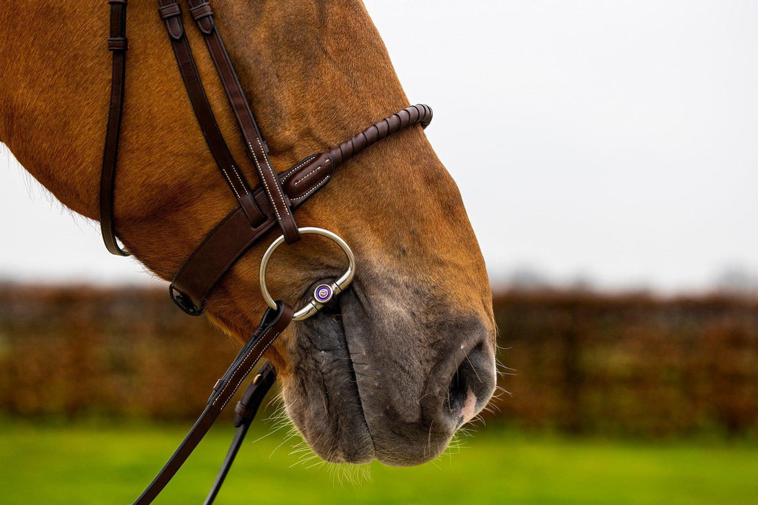 Trust Dublin Rope noseband bridle covered - HorseworldEU