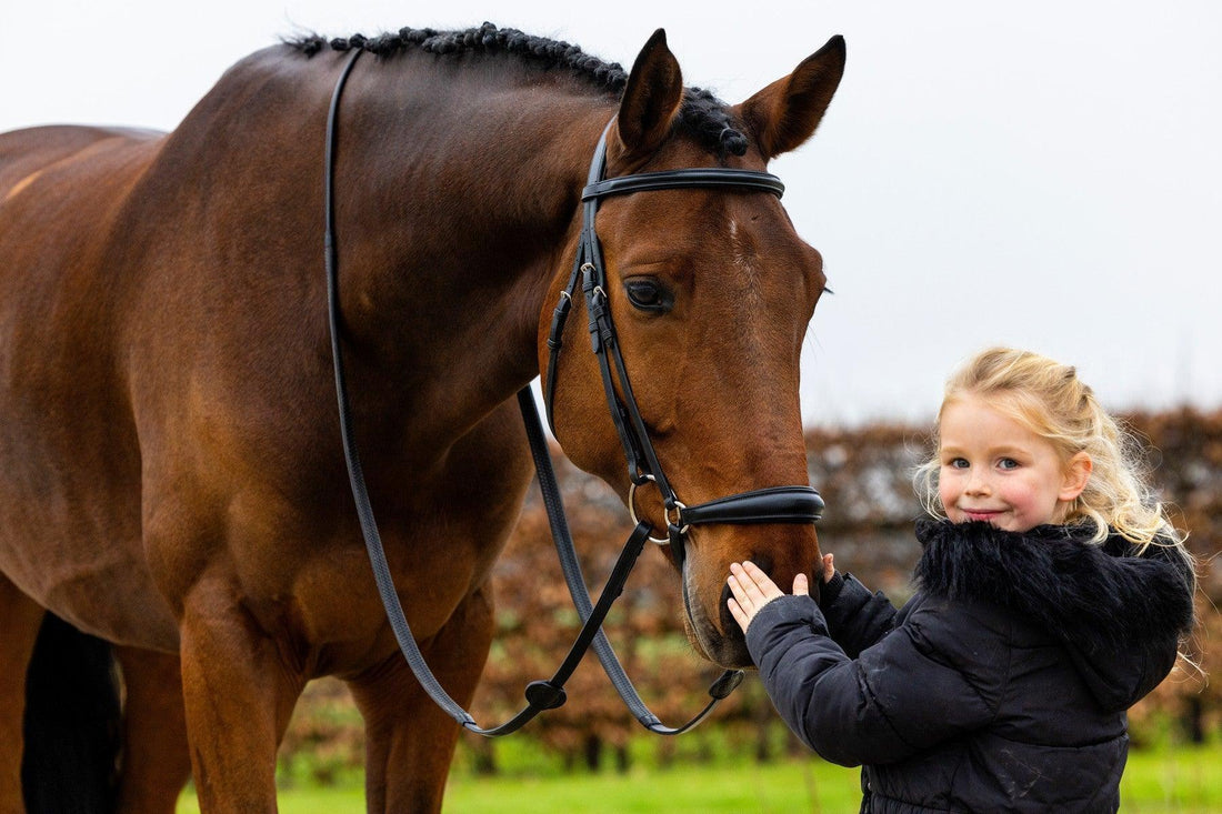 Trust Rome Drop noseband bridle - HorseworldEU