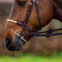 Trust St. Gallen Rope noseband bridle - HorseworldEU