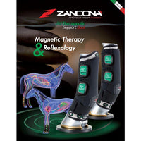Zandona therapeutic support boot air rear - HorseworldEU